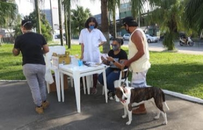 Mais de 3.500 cães e gatos são vacinados em Santos em quase três meses