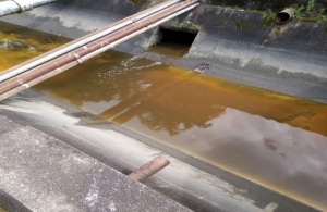 Vereador Zequinha questiona descarte irregular de resíduos nos canais em Santos.